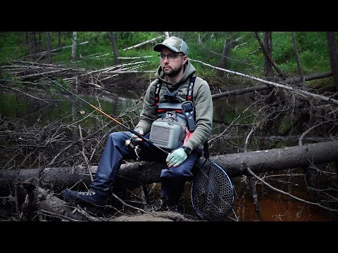 Видео: В ЭТОЙ ДРЕМУЧЕЙ РЕЧКЕ ВОДИТСЯ КРУПНЯК / РЫБАЛКА на ХАРИУСА