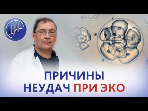 Видео: Неудачное ЭКО. 2 биохимические беременности после криопереноса. Обследование после неудачного ЭКО.