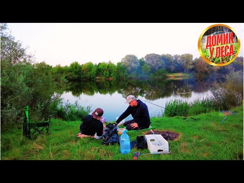 Видео: Домик у леса на рыбалке