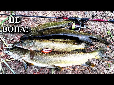 Видео: Чудо БЛЕШНЯ за три копійки косе усе живе! Щука дуріє просто.