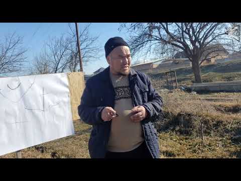 Видео: Гилас бактар. Эмне үчүн, мөмө байлабайт?