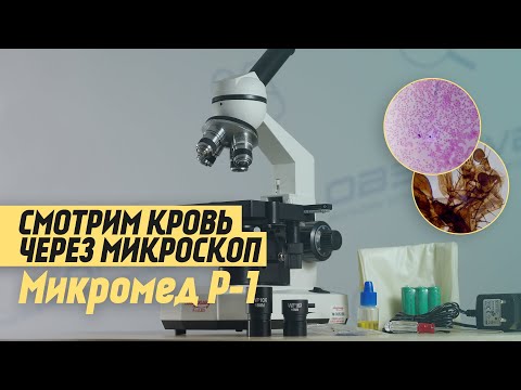 Видео: Лабораторный микроскоп Микромед Р-1 LED | ОБЗОР