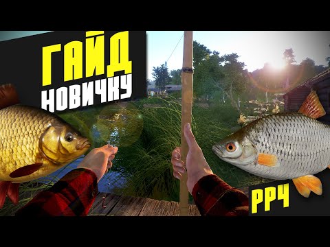 Видео: Гайд для Новичков - Русская рыбалка 4 [РР4]