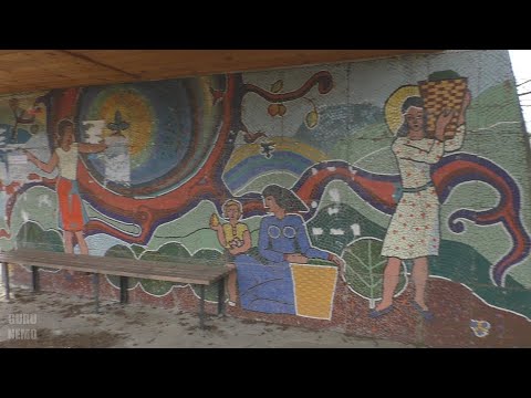 Видео: Вашнари (ვაშნარი), Гурианта (გურიანთი) и Озургети (ოზურგეთი).