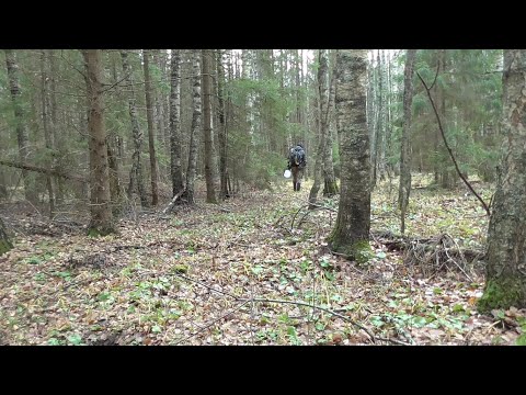 Видео: Материализация пожелания на копе.