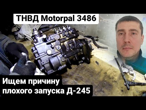 Видео: Ремонт тнвд моторпал. Моторпал. Насос моторпал. Моторпал д 245. Мтз моторпал. Смотри ЭТО на РУТУБЕ!
