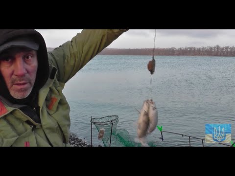 Видео: Тут зібрався весь карась # Клюють дуплетом #РибачуЯкУмію