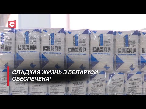 Видео: Цифры рекордные! Беларусь наращивает темпы производства сахара