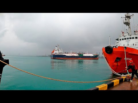 Видео: В БАТУМИ  в 2024г НА ГНИЛОЙ ВАЗ 2114. Палатка, море, горы. В Грузию на авто.