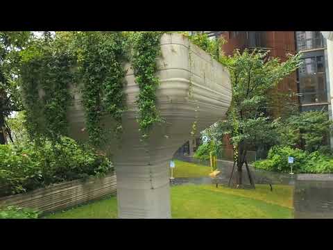 Видео: Городское озеленение Китая. Жилые кварталы и парки. Часть 1