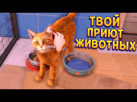 Видео: ТВОЙ ПРИЮТ ЖИВОТНЫХ В Animal Shelter 2