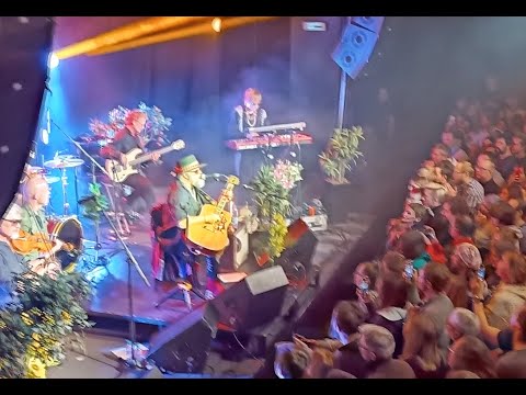 Видео: Борис Гребенщиков и БГ+ в Белграде 25.01.2023. Дом омладине