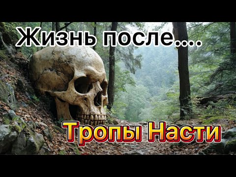 Видео: Жизнь после тропы «Насти»