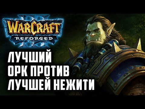 Видео: Лучший Орк против Лучшей Нежити: Happy (Ud) vs Lyn (Orc) Warcraft 3 Reforged