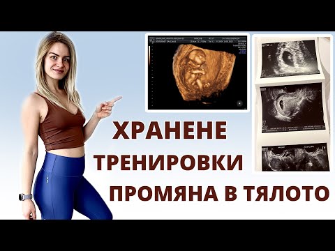 Видео: Всичко за ПЪРВИ ТРИМЕСТЪР 👶