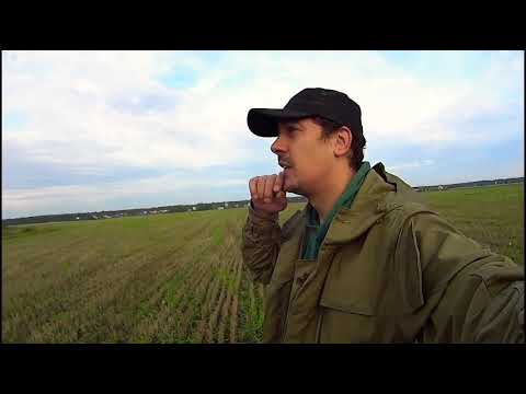 Видео: Fisher F22. ДВА дня РАЗВЕДКИ по Высокой стерне, КОП УДАЛСЯ!!!