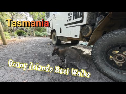 Видео: Эпизод 6. Тасмания 2025. Мы проведём неделю на острове Бруни и посетим лучшие места острова.