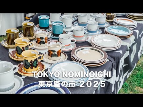 Видео: Отправляйтесь на Токийский блошиный рынок весной 2025 года!Представляю вам мои любимые милые покупки