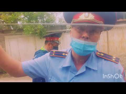 Видео: Білімсіз полицейлер немесе жоғалған ит