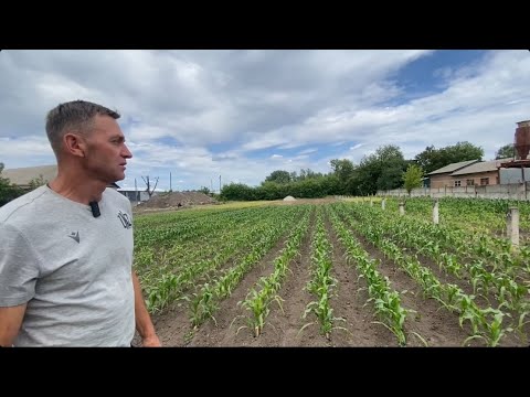 Видео: Вирощування нутрій