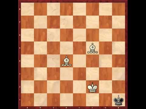 Видео: УРОК№11 МАТ ДВУМЯ СЛОНАМИ