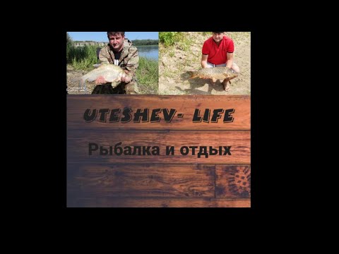 Видео: Рыбалка на озере,молодые Лисята не дают покоя