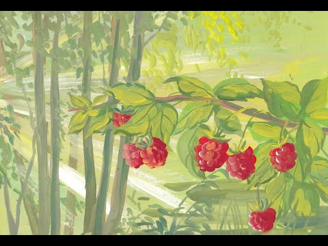 Видео: Малиновое лето