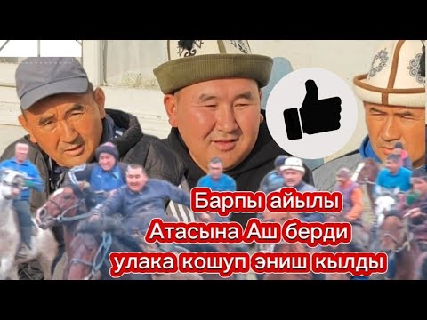 Видео: Барпы аштын улагы