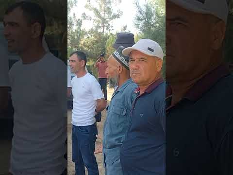 Видео: 28 августа 2024 г.