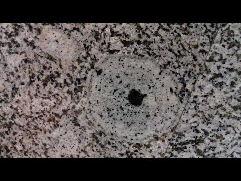 Видео: Магматические породы.  Лекция 12. Кислые породы (окончание).