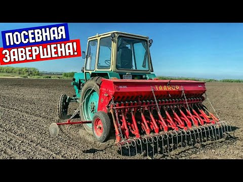 Видео: ПОСЕВНАЯ УСПЕШНО ЗАВЕРШЕНА! ЮМЗ-6