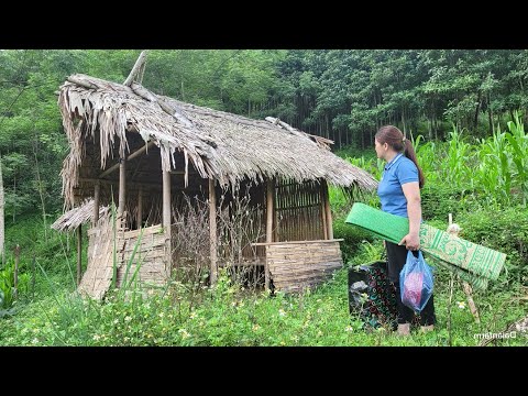 Видео: ПОЛНОЕ ВИДЕО: Бездомная мать-одиночка убирает заброшенный дом, чтобы превратить его в жильё.