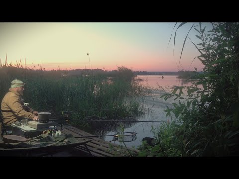 Видео: Рыбалка на Поплавок и Фидер! Ночь в Красивом и Уютном Местечке! Карасяндрик!