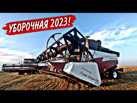 Видео: Старт УБОРОЧНОЙ СТРАДЫ 2023! Уборка пшеницы