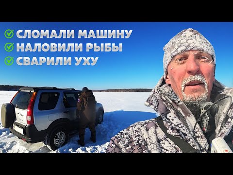 Видео: ТРИ Д***А ЭТО СИЛА!!! ЗИМНЯЯ РЫБАЛКА В -36!