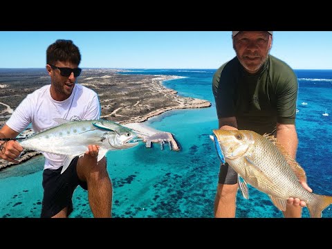 Видео: Рыбалка на рифе Нингалу с использованием поверхностных приманок!