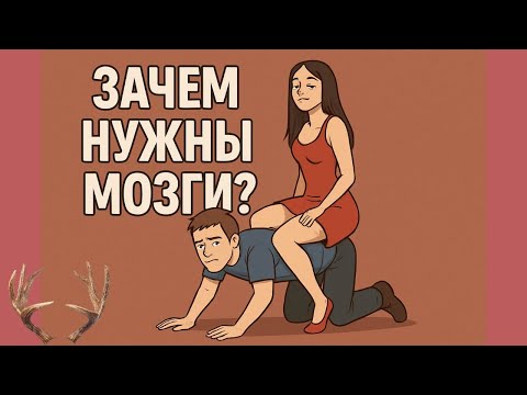 Видео: Как женщины выносят мозги