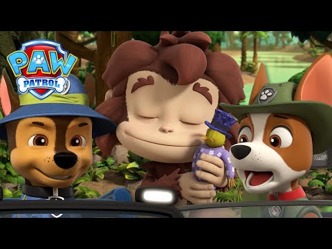 Видео: Тази маймуна няма да остави кмета Хъмдингер на мира! - PAW Patrol Bulgarian - карикатури за деца