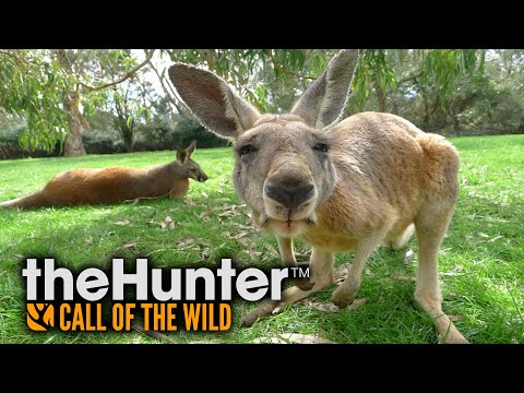 Видео: [СТРИМ] theHunter Call of the Wild ► АВСТРАЛИЯ Emerald Coast ► СИМУЛЯТОР ОХОТЫ ► КЕНГУРУ ► RTX 4090