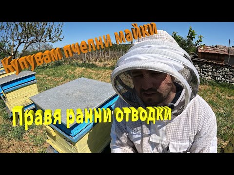 Видео: Правя ранни отводки