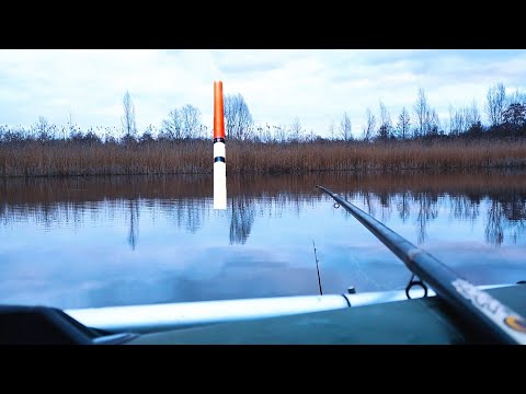 Видео: Пузатая плотва на ПОПЛАВОК! Да это весна 2025