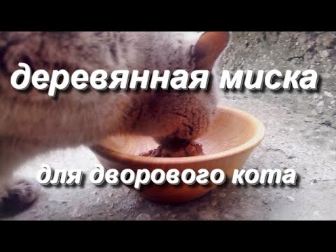 Видео: работа на токарном станке Делаем деревянную миску без токарного патрона