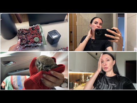 Видео: Страшна ніч/Рятуємо сову/Заготовка ягід на зиму