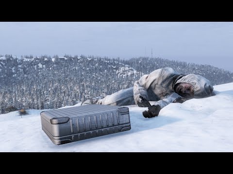 Видео: Сахальский шнырь | #DayZ