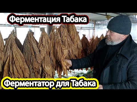 Видео: Ферментация Табака с ЦЖ / Ферментатор для Табака