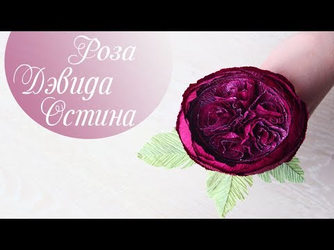 Видео: Английская роза из гофрированной бумаги | Мастер-класс! Роза Дэвида Остина из  гофрированной бумаги