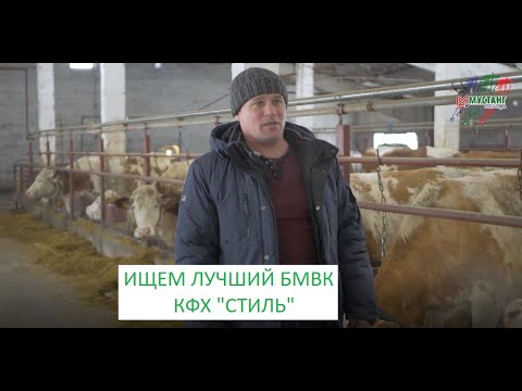 Видео: ПАСТИ ИЛИ НЕ ПАСТИ, ЛУЧШИЙ БМВК: ОПЫТ ПЕРЕДОВОГО АЛТАЙСКОГО ХОЗЯЙСТВА "Стиль"