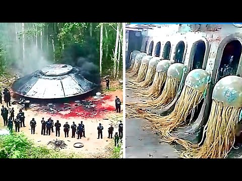 Видео: Крушение НЛО Подтверждено! То, Что Обнаружили Внутри Поразило Весь Мир
