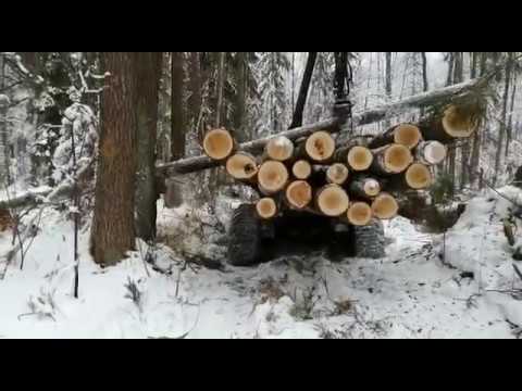 Видео: Выборочная лесозаготовка на лесовозном тракторном прицепе "АРМАДА" + трактор МТЗ 1221 (Отзыв. 6 лет)
