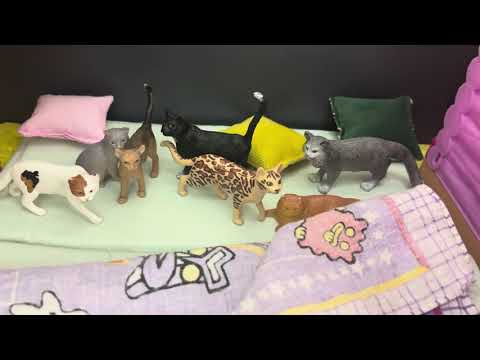 Видео: КОШЕЧКИ ШТРИХИ ХОРРОР 5 часть 3 серия Хэллоуинские ужасы #catsstrokes #кошечкиштрихи 